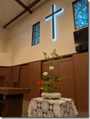 PXL_20260620_210955186
