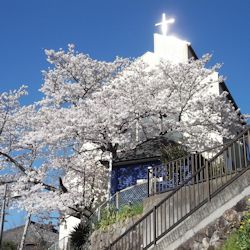 吉野キリスト教会の写真